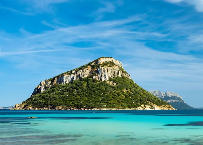 Baia De Bahas Bilo Vm 500m From The Sea - Happy Apartman