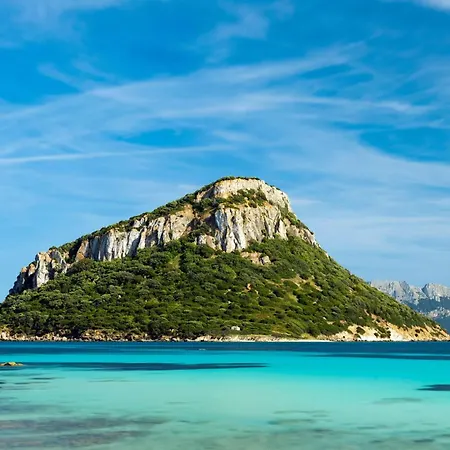 Baia De Bahas Bilo Vm 500m From The Sea - Happy Apartman