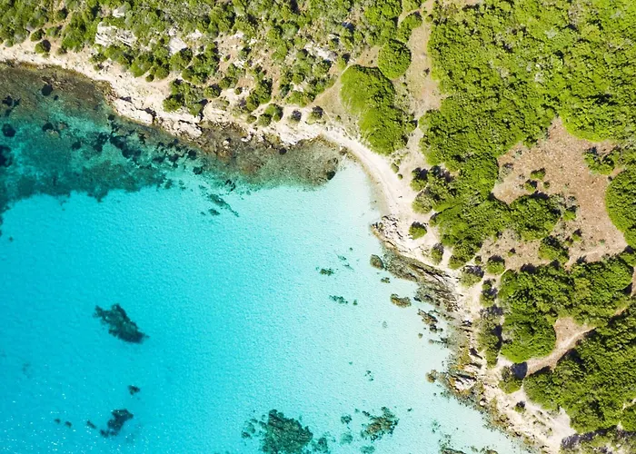 Baia De Bahas Bilo Vm 500m From The Sea - Happy *